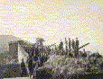 Guarda le foto delle batterie contraeree!