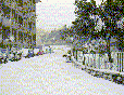 Via Susanna Fontanarossa al "Giro del Cascinone" 