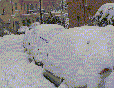 Auto parcheggiate in Via Susanna Fontanarossa