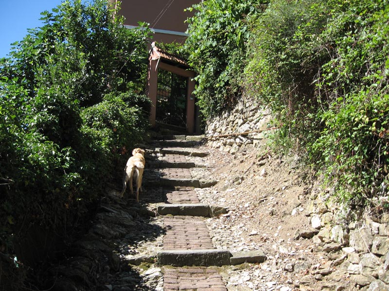 http://sites.google.com/site/viadelmolinetto/